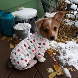 Meet your Posher, Sheri